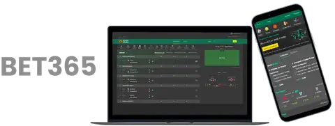体育英才成,长之路的困,惑探寻,188bet金宝博体育,188bet金宝博体育app,188bet金宝博体育官网,188bet金宝博体育下载,188bet金宝博体育入口